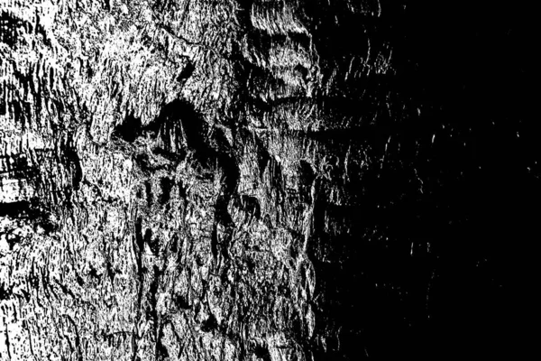 Abstract Black White Texture Scratches Cracks — Stock Photo, Image