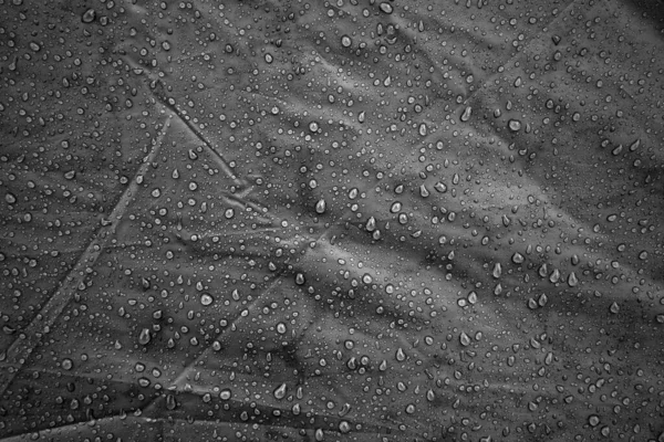 Water drops on fabric. Water drops on grey background. Condensate. Water drops background.