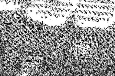 Soyut arkaplan. monokrom dokusu. resim siyah ve beyaz tonları içerir.