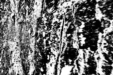 Siyah ve beyaz tonlarda soyut monokrom dokusu 