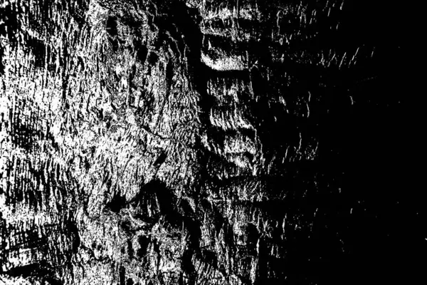 Abstract Black White Texture Scratches Cracks — Stock Photo, Image