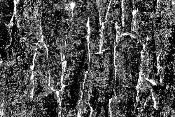 Contexte Abstrait Texture Monochrome Fond Texturé Noir Blanc — Photo