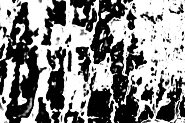 Fond Abstrait Texture Monochrome Image Incluant Effet Les Tons Noir — Photo