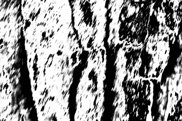 Abstract Monochrome Texture Black White Tones — Stock Photo, Image