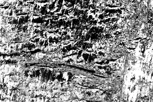 Contexte Abstrait Texture Monochrome Fond Texturé Noir Blanc — Photo