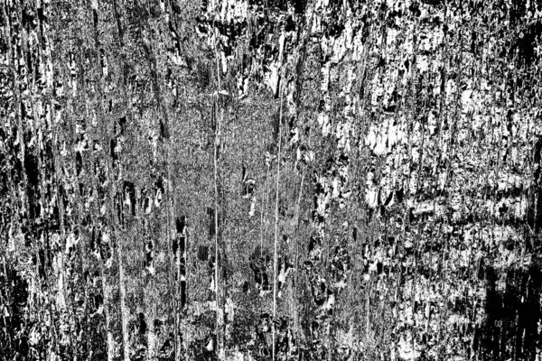 Sfondo Astratto Texture Monocromatica Immagine Compreso Effetto Toni Bianco Nero — Foto Stock