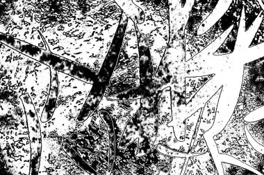 Soyut arkaplan. Monokrom dokusu. Siyah ve beyaz tonlarının etkisiyle görüntü.