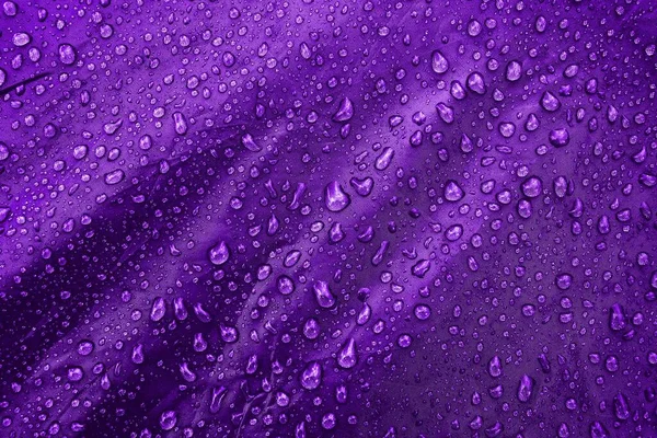 Wassertropfen Auf Stoff Wassertropfen Auf Violettem Hintergrund Kondensat Wassertropfen Hintergrund — Stockfoto