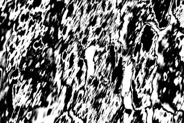 Abstract Monochrome Texture Black White Tones — Stock Photo, Image