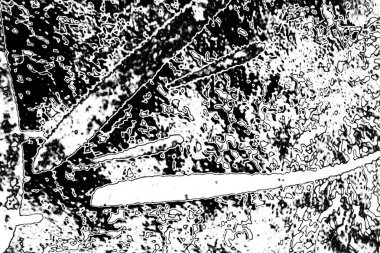 Soyut arkaplan. Monokrom dokusu. Siyah ve beyaz tonlarının etkisiyle görüntü.