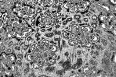 Soyut arkaplan. monokrom dokusu. resim siyah ve beyaz tonları içerir.