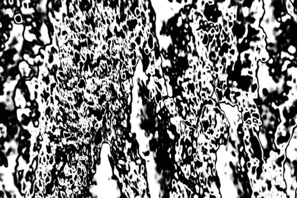 Textura Monocromática Abstrata Tons Preto Branco — Fotografia de Stock