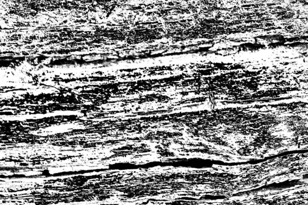 Abstraktní Černobílá Textura — Stock fotografie