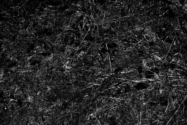 Fondo Abstracto Textura Monocromática Imagen Con Efecto Tonos Blanco Negro —  Fotos de Stock