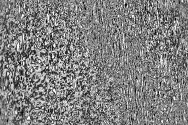 Soyut arkaplan. Monokrom dokusu. Siyah ve beyaz desenli arkaplan. 