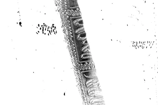 Абстрактный Фон Монохромная Текстура Изображение Эффектом Черно Белых Тонов — стоковое фото