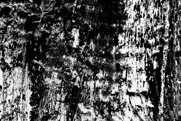 Abstract Black White Texture Scratches Cracks — Stock Photo, Image