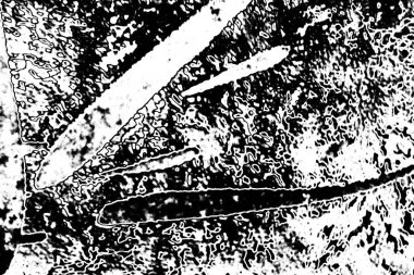 Soyut arkaplan. Monokrom dokusu. Siyah ve beyaz tonlarının etkisiyle görüntü.