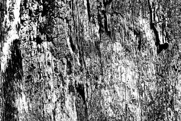 Texture Astratta Monocromatica Nei Toni Del Bianco Nero — Foto Stock