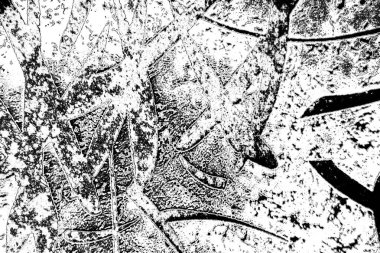 Soyut arkaplan. Monokrom dokusu. Siyah ve beyaz tonlarının etkisiyle görüntü.