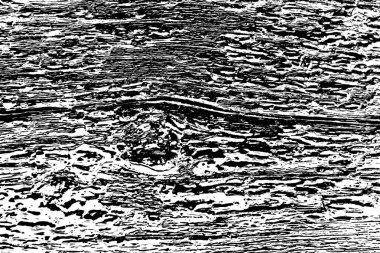 Soyut arkaplan. Monokrom dokusu. Siyah ve beyaz desenli arkaplan. 