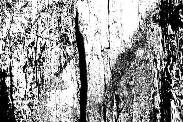 Abstract Monochrome Wall Texture Scratches Cracks Black White Tones — Stock Photo, Image