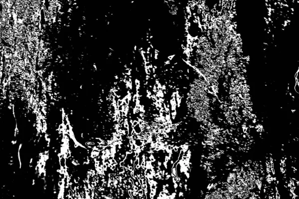 Fundo Abstrato Textura Monocromática Imagem Incluindo Efeito Tons Preto Branco — Fotografia de Stock