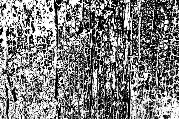 Sfondo Astratto Texture Monocromatica Immagine Compreso Effetto Toni Bianco Nero — Foto Stock