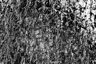 Soyut arkaplan. monokrom dokusu. resim siyah ve beyaz tonları içerir.