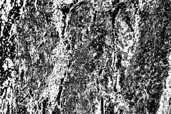 Texture Astratta Monocromatica Nei Toni Del Bianco Nero — Foto Stock