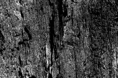 Soyut arkaplan. Monokrom dokusu. Siyah ve beyaz desenli arkaplan. 