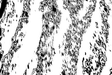 Soyut arkaplan. monokrom dokusu. resim siyah ve beyaz tonları içerir.