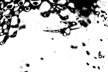 Soyut arkaplan. Monokrom dokusu. Siyah ve beyaz desenli arkaplan. 