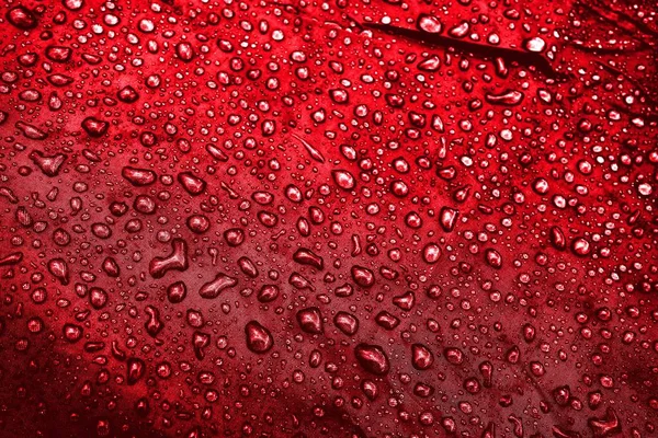 水滴在织物上 水滴在红色的背景上 凝固汽油 水滴背景 — 图库照片