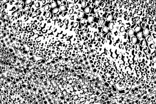 Abstract Background Monochrome Texture Image Including Effect Black White Tones — Stock Photo, Image