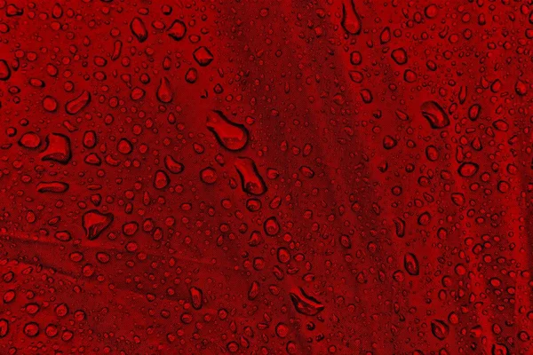 Water drops on fabric. Water drops on red background. Condensate. Water drops background.