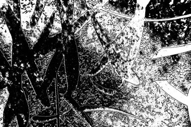 Soyut arkaplan. monokrom dokusu. resim siyah ve beyaz tonları içerir.