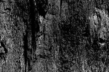 Soyut arkaplan. Monokrom dokusu. Siyah ve beyaz desenli arkaplan. 