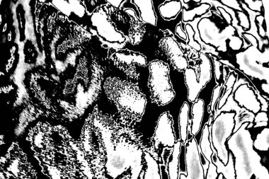 Soyut arkaplan. Monokrom dokusu. Dekoratif siyah beyaz desen. 