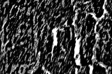 Soyut arkaplan. Monokrom dokusu. Siyah ve beyaz desenli arkaplan. 