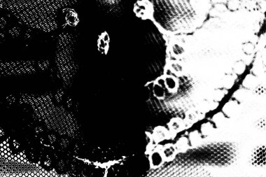 Soyut arkaplan. Monokrom dokusu. Siyah ve beyaz desenli arkaplan. 