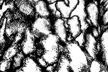 Soyut arkaplan. Monokrom dokusu. Dekoratif siyah beyaz desen. 