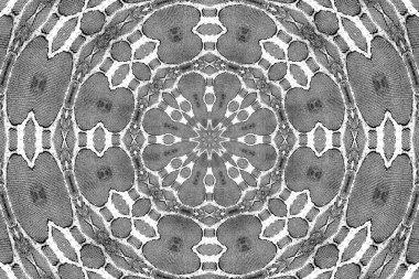 Soyut arkaplan. Monokrom dokusu. Dekoratif siyah beyaz desen. 