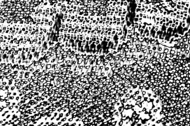 Soyut arkaplan. Monokrom dokusu. Siyah ve beyaz desenli arkaplan. 