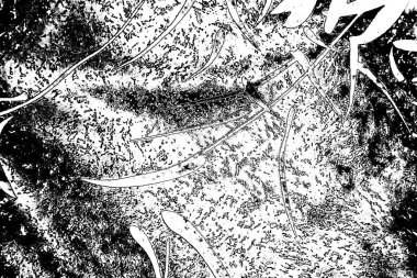 Soyut arkaplan. monokrom dokusu. resim siyah ve beyaz tonları içerir.