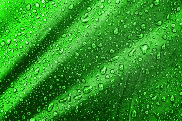 Water Drops Fabric Water Drops Green Background Condensate Water Drops — Stock Photo, Image