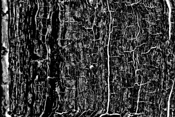 Contexte Abstrait Texture Monochrome Fond Texturé Noir Blanc — Photo