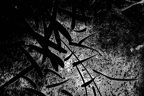 Abstract Background Monochrome Texture Image Including Effect Black White Tones — Stock Photo, Image