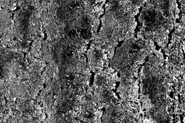 Contexte Abstrait Texture Monochrome Fond Texturé Noir Blanc — Photo