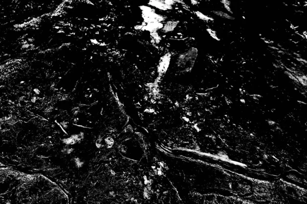 Abstract Background Monochrome Texture Image Including Effect Black White Tones — Stock Photo, Image